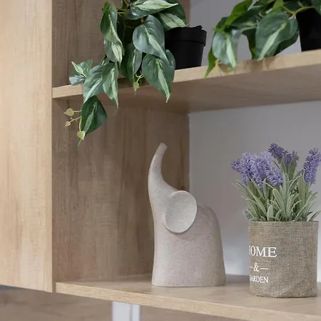 Urban Duo Apartment